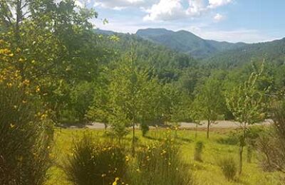 trekking foreste casentino