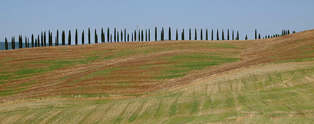 crete senesi in bici